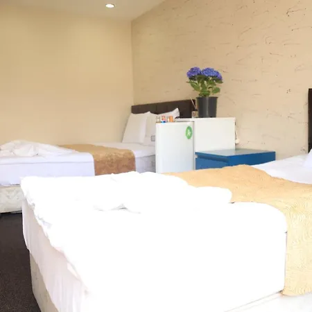 Grand Appartement *