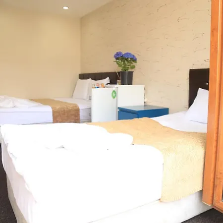 Grand Appartement *