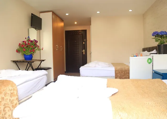 Appartement Grand Aparts