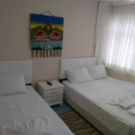 Grand Appartement