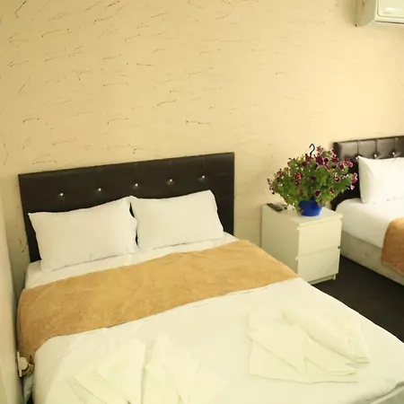 Grand Appartement