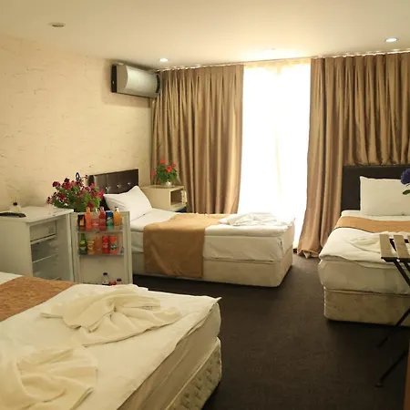 Grand Appartement